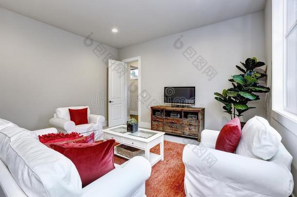 客人现代的活的房间内部和红色的枕头和小块地毯