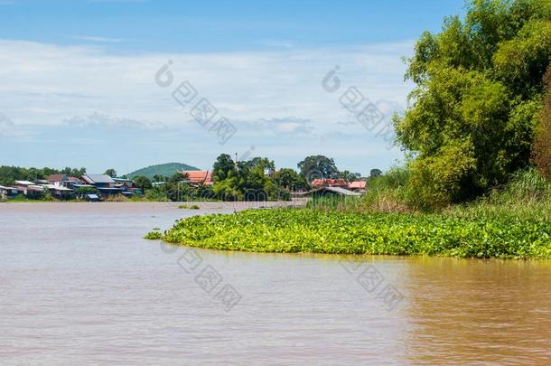 运河风景和绿色的水植物,树,房屋,ThaiAirwaysInternational泰航国际圣殿骑士