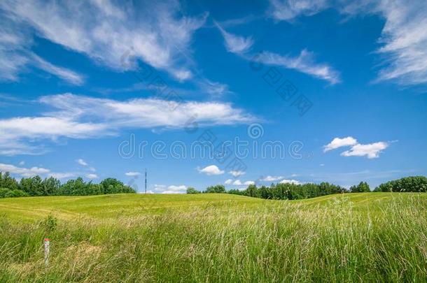 夏农业的风景.一多丘陵的田在下面一蓝色多云的