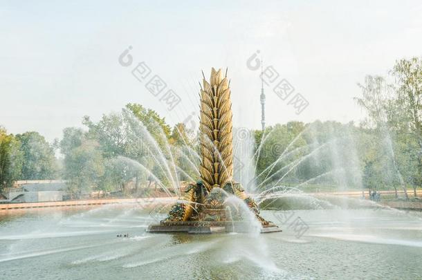 传说的代表<strong>会议</strong>人造喷泉`佐洛托伊科洛舞`<strong>金色</strong>的耳朵.莫斯科,RussianFederation俄罗斯联邦