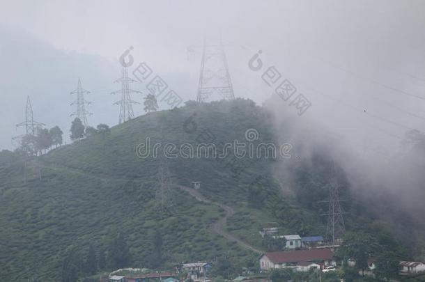 自然美好山小山茶水花园