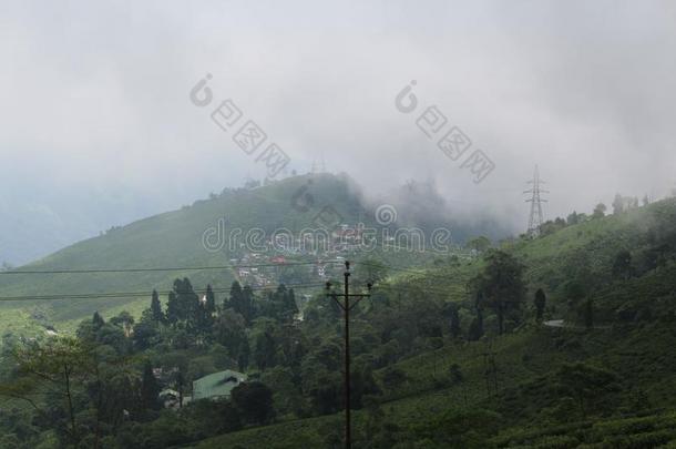 自然美好山小山茶水花园