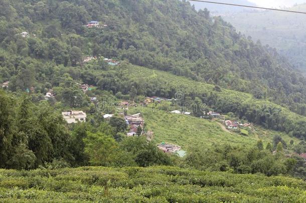 自然美好山小山茶水花园