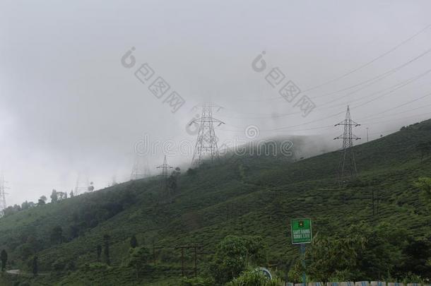 自然美好山小山茶水花园