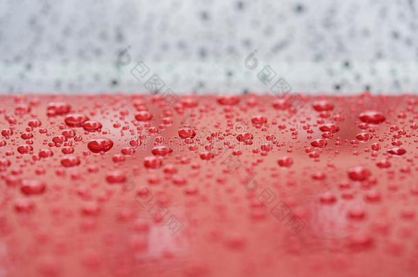 特写镜头雨落下向红色的汽车和狂犬病的涂层