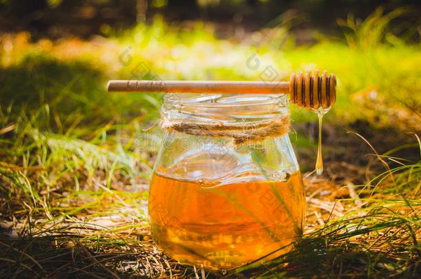 勺为蜂蜜和罐子和新鲜的蜂蜜向夏绿色的林中空地.