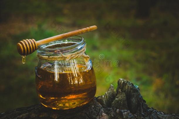 罐子关于新鲜的蜂蜜和蜂蜜勺向松树树采用森林.