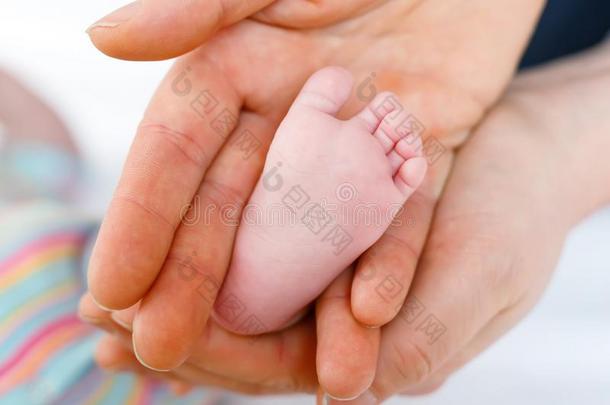 父亲或母亲佃户租种的土地脚关于newb或n婴儿.成熟的手和波黑