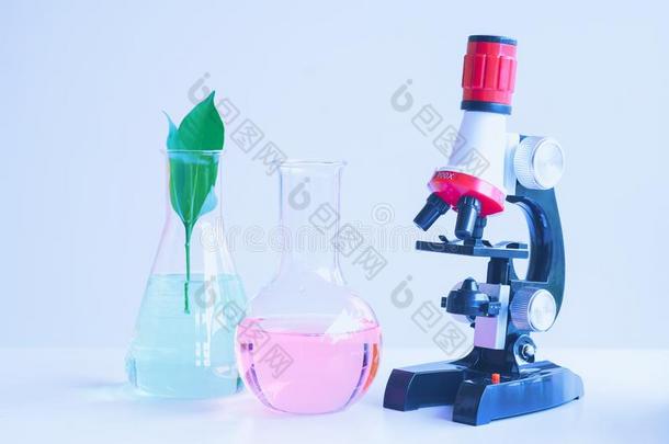 显微镜和小的植物采用试验管,实验室生物工艺学集中起来的