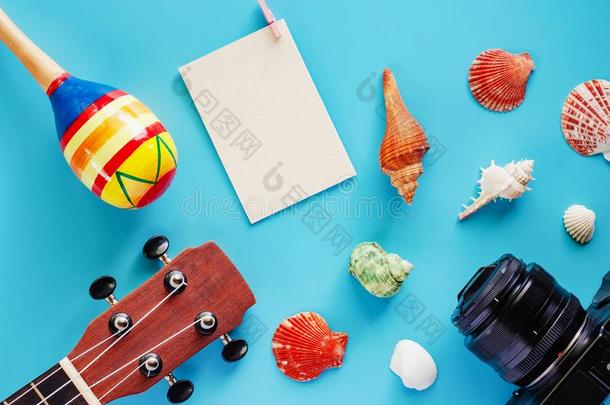 照相机,夏威夷的四弦琴,沙球,空白的纸明信片和海壳向