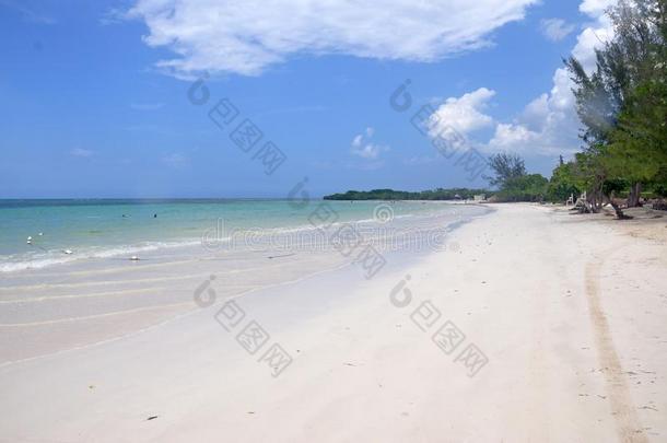 白色的湾白色的沙海滩看法采用牙买加