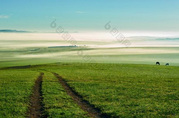 指已提到的人早晨天空和小路关于夏grassl和