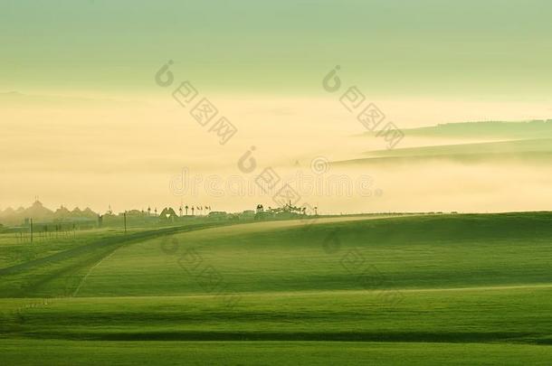 指已提到的人早晨雾向指已提到的人绿色的大草原日出