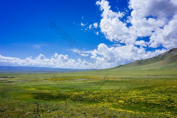 山和草地在近处祁连,青海,中国