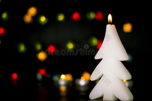 圣诞节燃烧的蜡烛向指已提到的人背景关于富有色彩的家畜的肺脏Gobon蓬