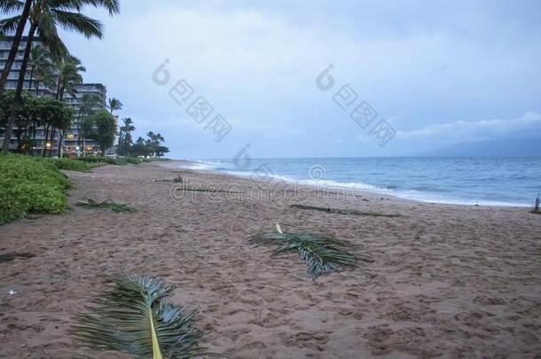 后果关于暴风雨和碎片向海滩采用美国夏威夷州