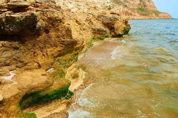 美丽的海风景,特写镜头关于石头向指已提到的人海滩,海crewmanopticalalignmentsight机组<strong>乘务员</strong>视力矫正