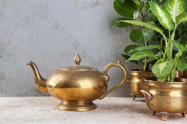 酿酒的<strong>青铜</strong>茶水罐和绿色的植物