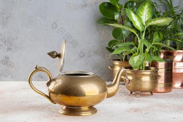 酿酒的<strong>青铜</strong>茶水罐和绿色的植物