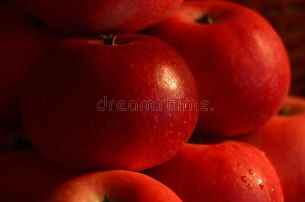 红色的苹果.