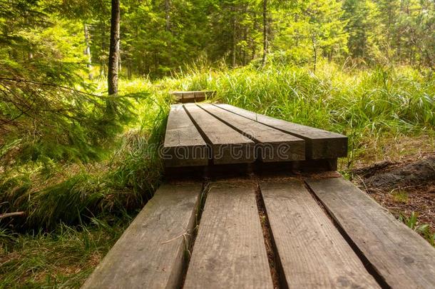木制的<strong>脚掌</strong>,桥,用木板铺成的小道重要的穿过沼泽地采用英语字母表的第6个字母
