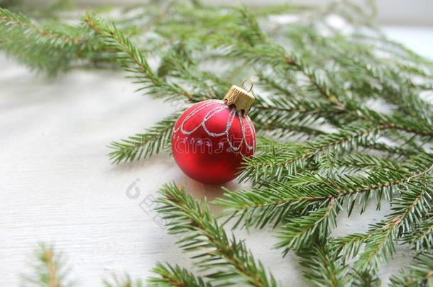 圣诞节树玩具,红色的球向,树树枝向白色的后台