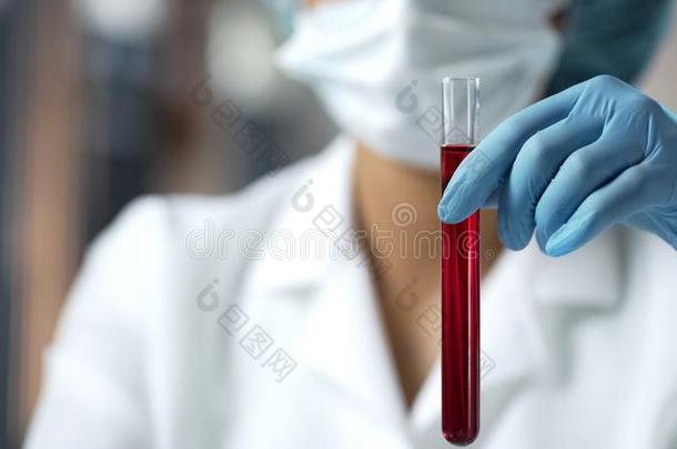 实验室助手佃户租种的土地试验管和红色的液体,血分析