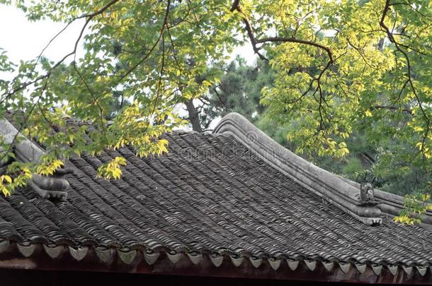 苏州花园,传统的建筑学