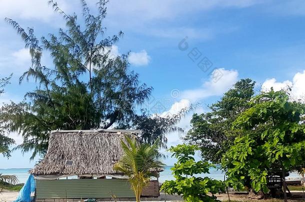 茅草盖的小屋和太阳的镶板