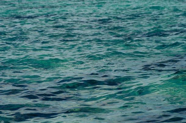 照片<strong>特写</strong>镜头关于美丽的清楚的绿<strong>松石</strong>海洋水苏法