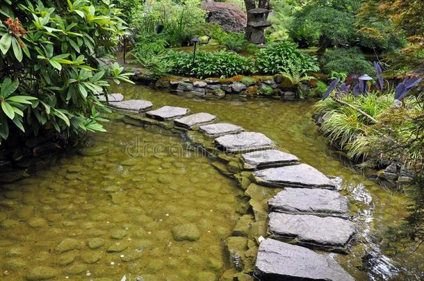日本人花园池塘
