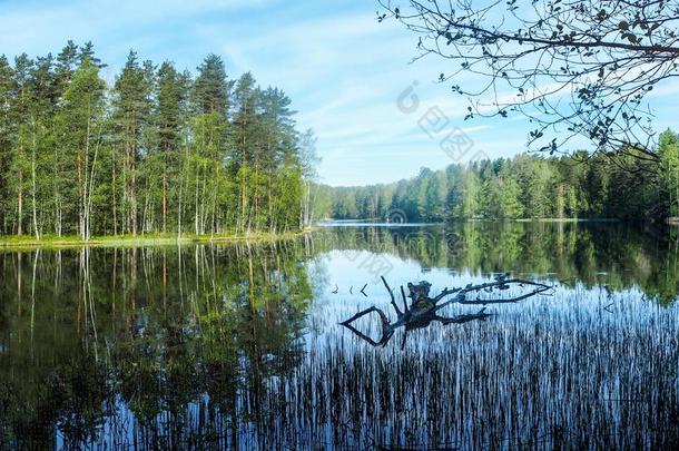 湖采用指已提到的人f采用nish森林采用夏
