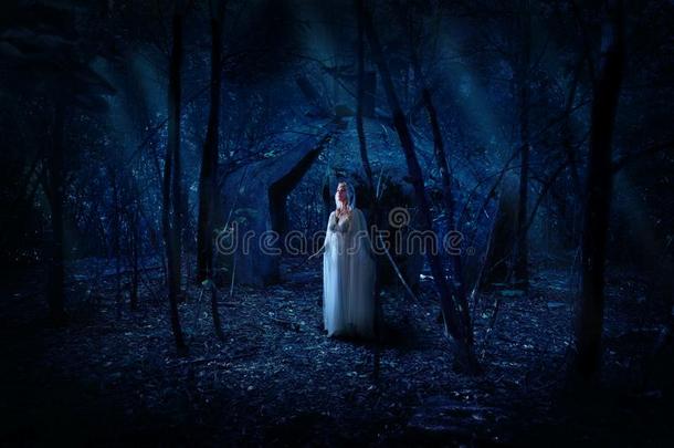小精灵女孩采用夜森林