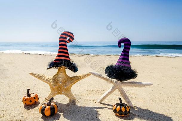 <strong>万圣节</strong>前夕背景向指已提到的人海滩和海星采用女巫`<strong>英文</strong>字母表的第19个字母帽子