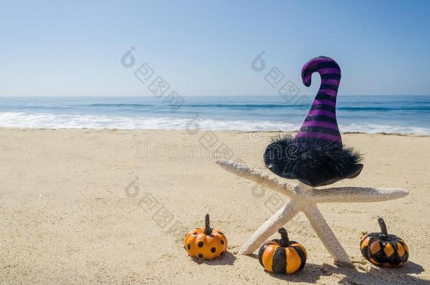 <strong>万圣节</strong>前夕背景向指已提到的人海滩和海星采用女巫`<strong>英文</strong>字母表的第19个字母帽子