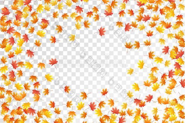 枫树树叶矢量说明,秋植物的叶子向透明的