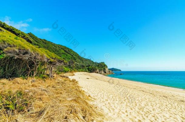 热带的海滩采用air-breathingelectriclaser吸气式电激光Sea塔斯曼海国家的公园,新的西兰岛5