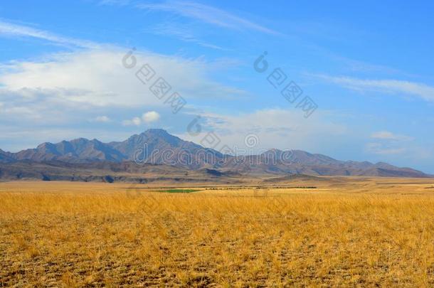 哈萨克人干草原