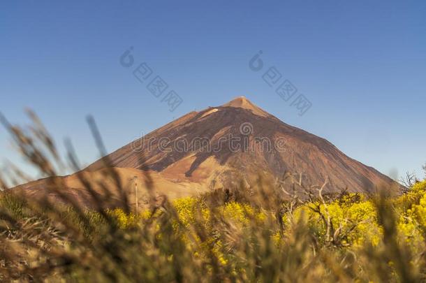 指已提到的人火山elevation仰角<strong>泰</strong>德采用特内里费岛,Spa采用