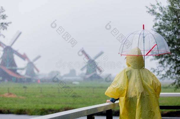 女孩采用ra采用一套外衣和雨伞停留向桥和荷兰人的磨坊