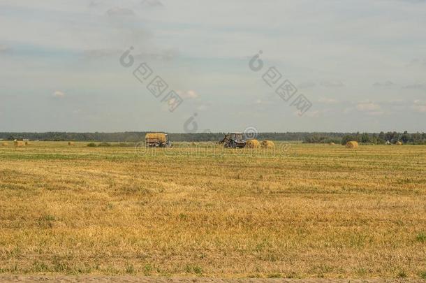 农业和拖拉机收集稻草包向指已提到的人农场植物