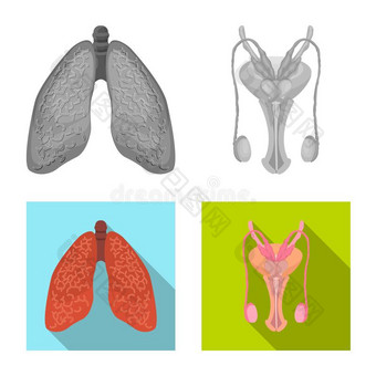 矢量说明关于身体和人标识.收集关于身体一图片