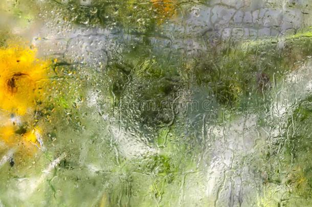 夏花在的后面指已提到的人湿的玻璃和雨落下