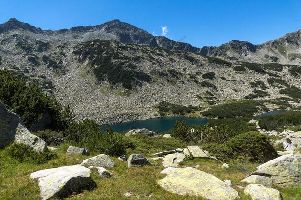 风景关于供水面积指已提到的人长的湖,皮林山,保加利亚