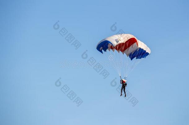 隔离的做空中造型动作的跳伞运动员控制富有色彩的降落伞流畅的后的自由的