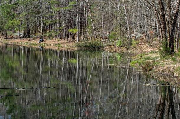 男人捕鱼向湖和reflecti向s关于树采用秋