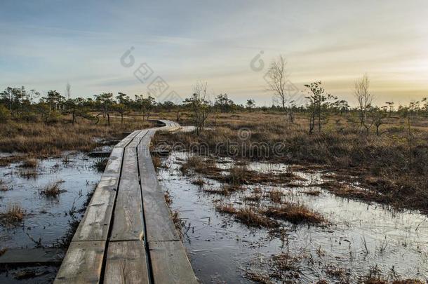 伟大的凯梅里沼泽用木板铺成的小道采用12月,凯梅里国家的公园,LaoPeople'sRepublic老挝人民共和国