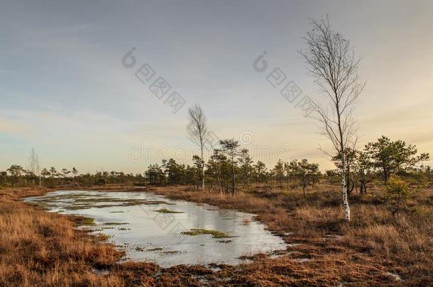 伟大的凯<strong>梅里</strong>沼泽用木板铺成的小道采用12月,凯<strong>梅里</strong>国家的公园,LaoPeople'sRepublic老挝人民共和国