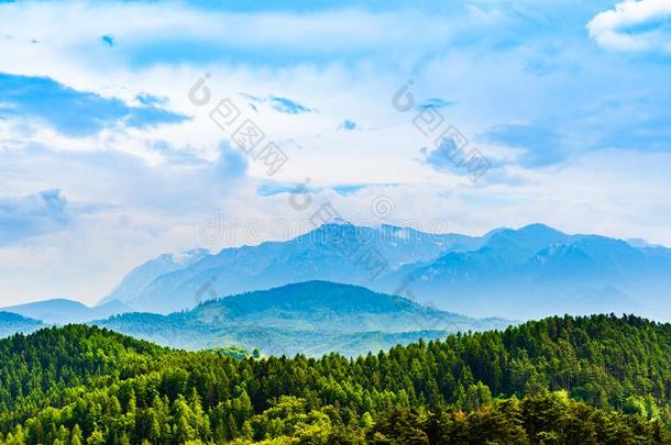 <strong>岗位</strong>山丘部分关于指已提到的人罗马尼亚人喀尔巴阡山脉山跑