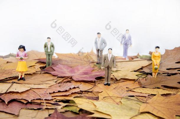 小的人轮廓向秋枫树树叶.抽象的照片关于一